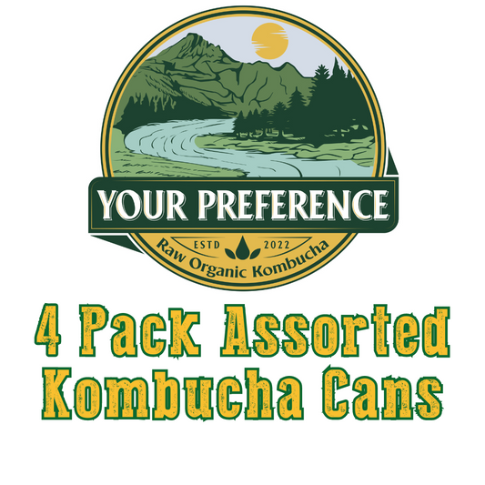 4 Pack Kombucha (cans)