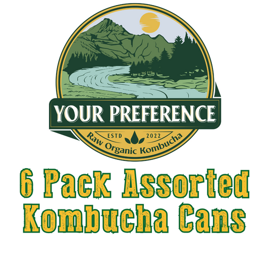 6 Pack Kombucha Cans