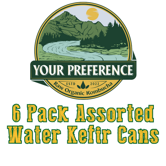 6 Pack Water Kefir Cans