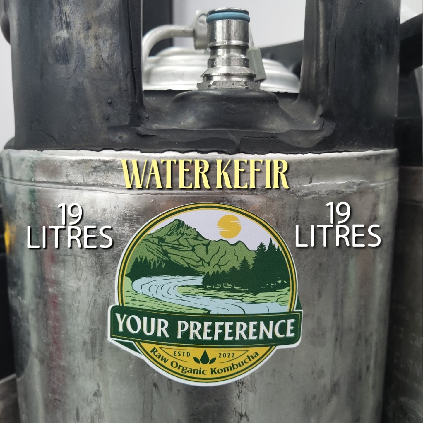 Water Kefir Keg 19L